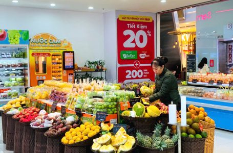 WinMart+ Tại Nông Thôn Tăng Trưởng 46%, Động Lực Mới Của WinCommerce